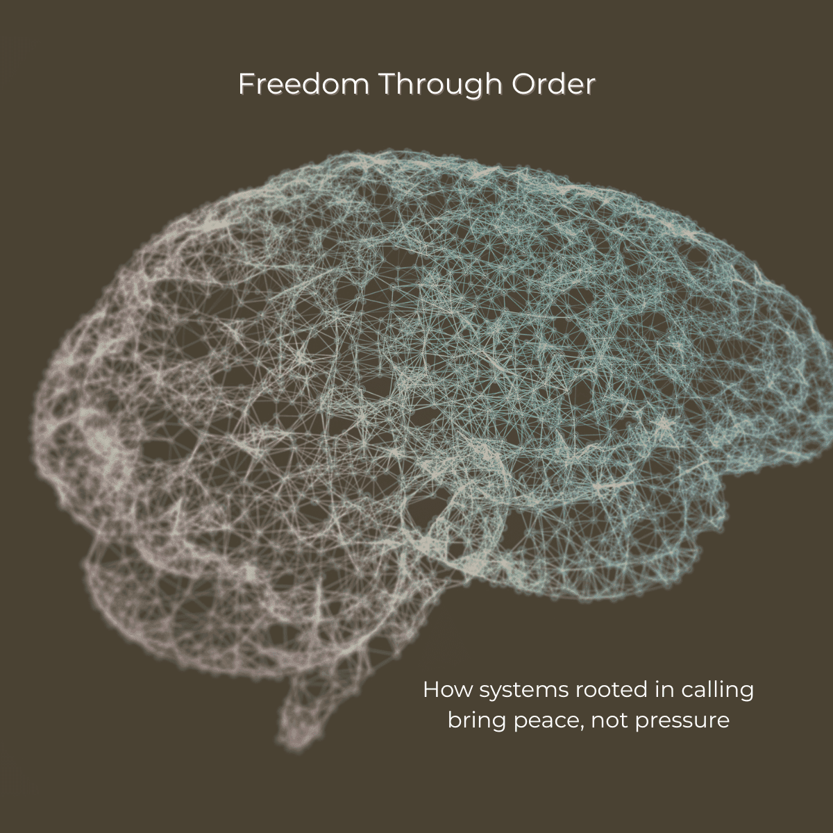 Systems that Set You Free